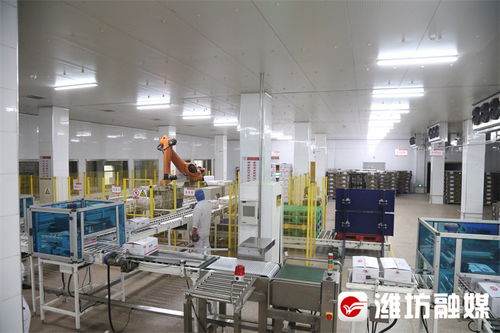 潍观 潍坊设施农业的“高分卷”，网络设备销售如何稳操胜券？