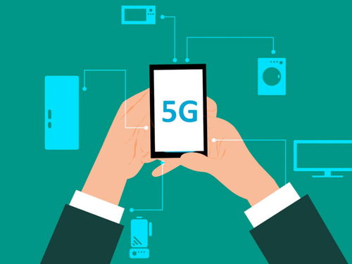 网络设备销售 构建高效数字基础设施的关键